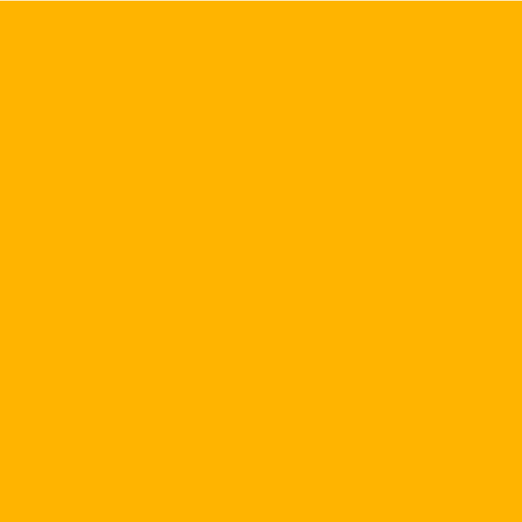 SISER EasyWeed STRETCH VINYL (5 yards)