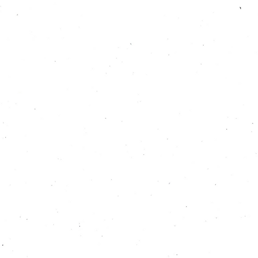 Premium Wholesale Handkerchiefs