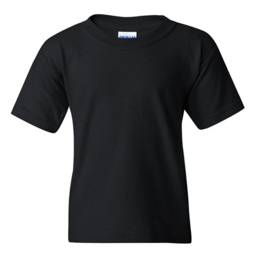 GILDAN YOUTH TEE SECONDARY COLORS- G5000B