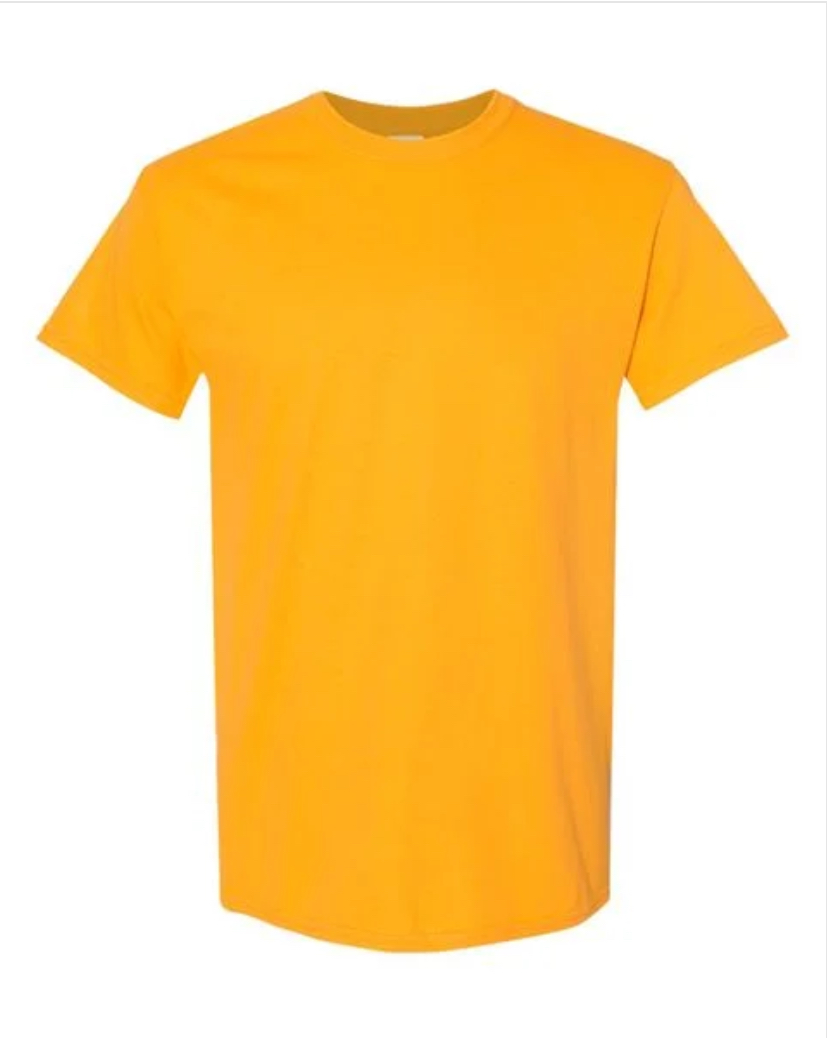 GILDAN ADULT TEE-G5000 (2X-5X)