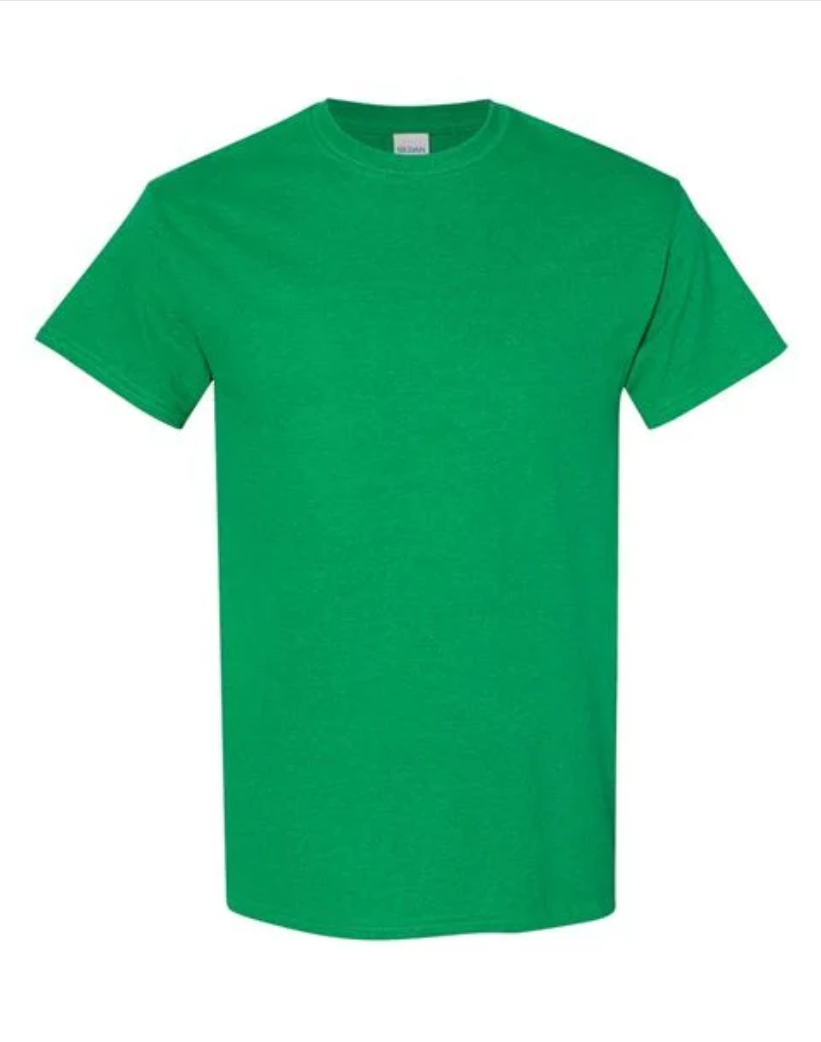 GILDAN YOUTH TEE SECONDARY COLORS- G5000B