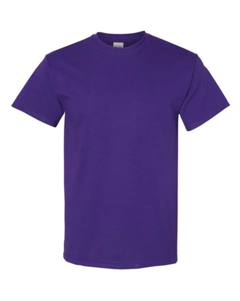 GILDAN ADULT TEE-G5000 (2X-5X)